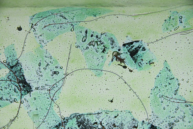 Glasschale gelbes Gras Metall grün 5